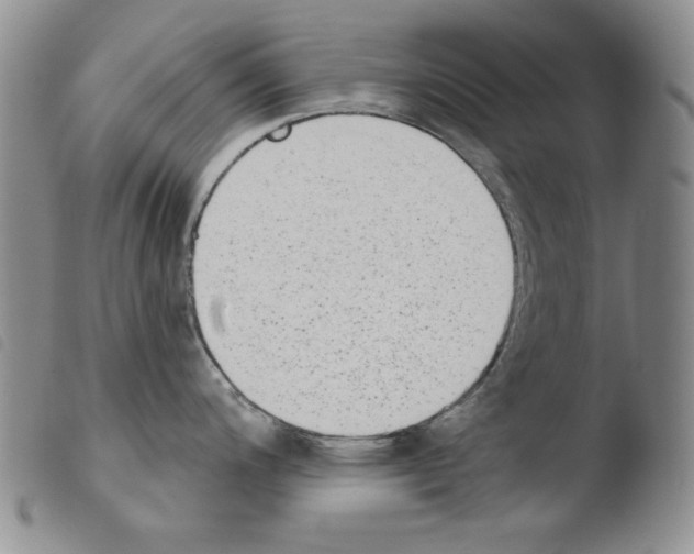 X0000103461200200810240942