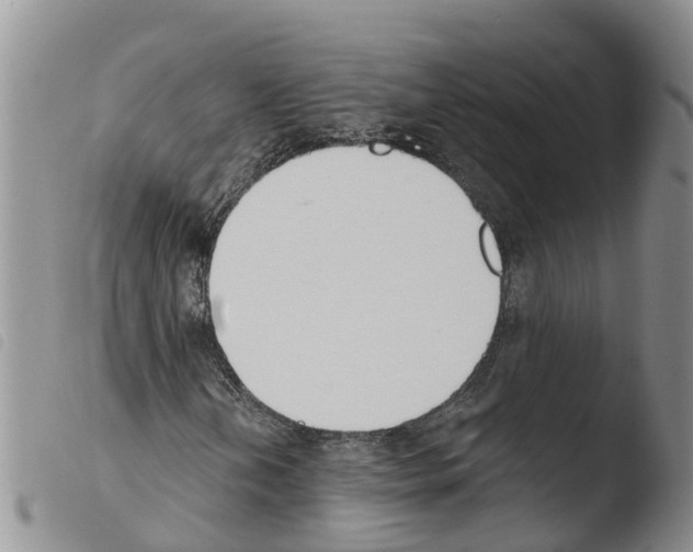 X0000103461202200810240941
