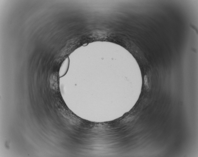 X0000103461203200810240941