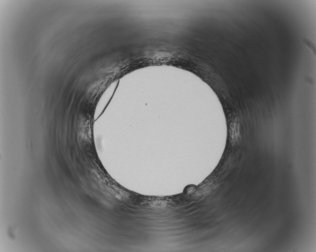 X0000103461204200810240941