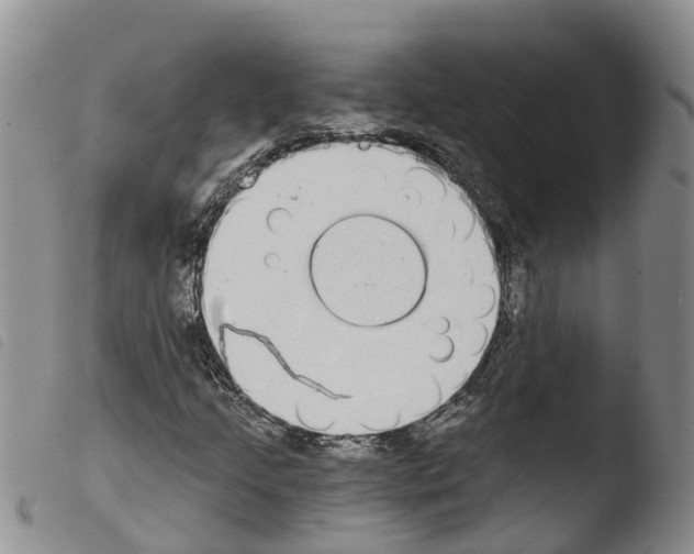 X0000103461205200810240941