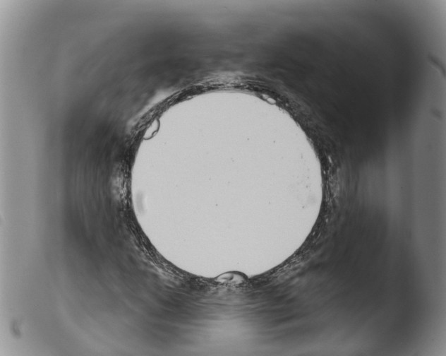 X0000103461206200810240941