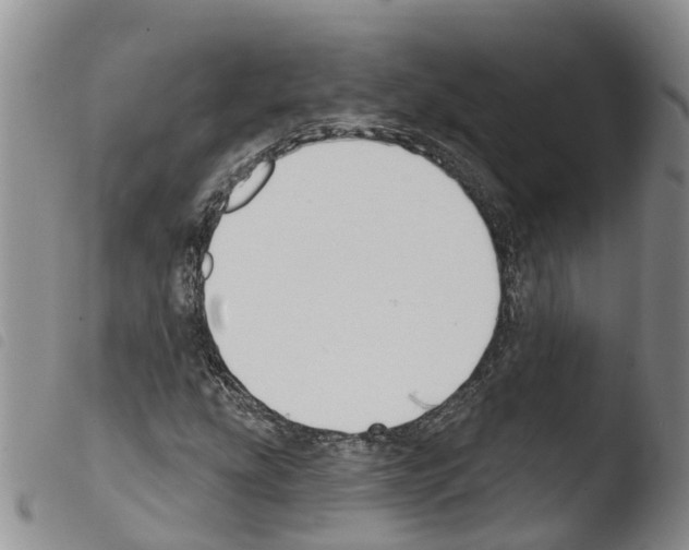 X0000103461207200810240941