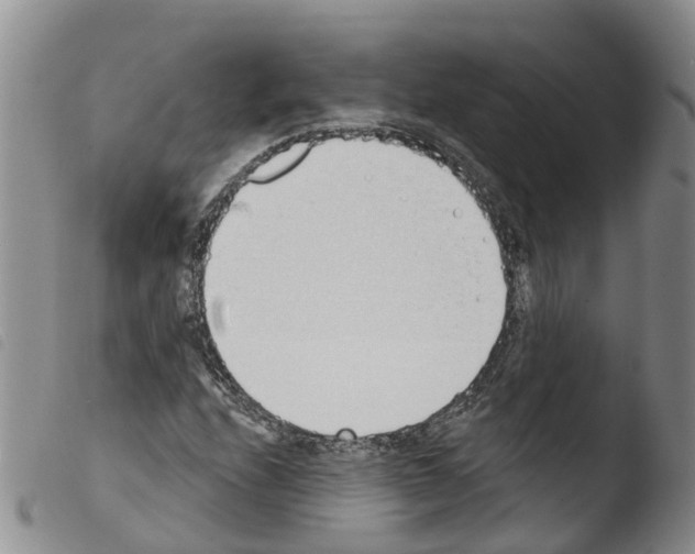 X0000103461208200810240941
