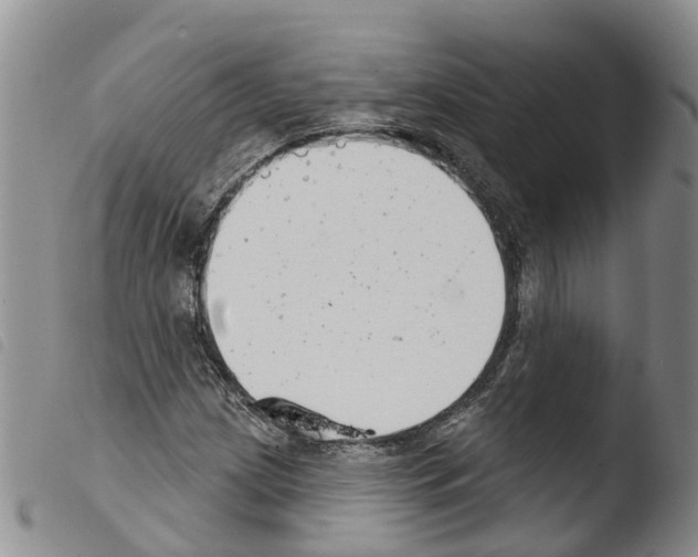 X0000103461209200810240941