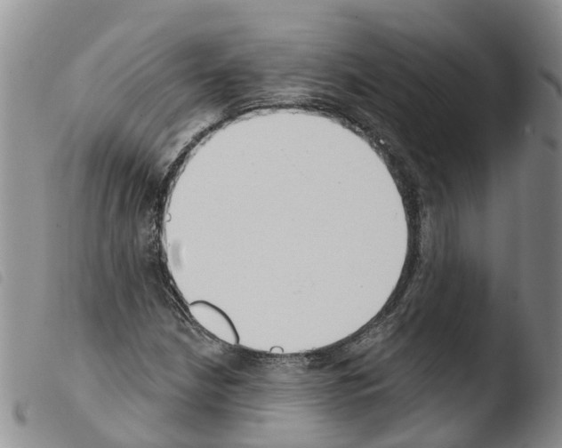 X0000103461210200810240941