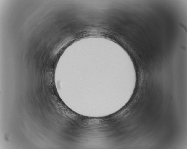 X0000103461211200810240941