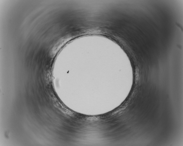 X0000103461212200810240941