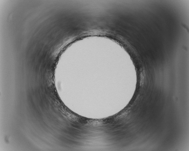 X0000103461213200810240941