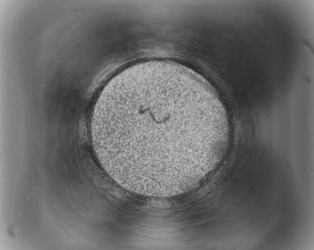 X0000103461215200810240941