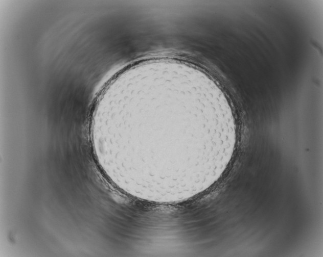X0000103461216200810240941