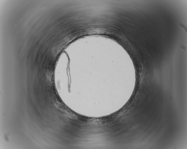 X0000103461217200810240941