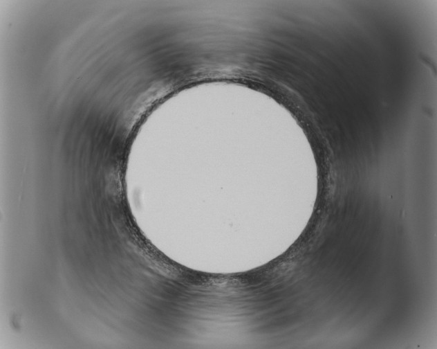 X0000103461218200810240941