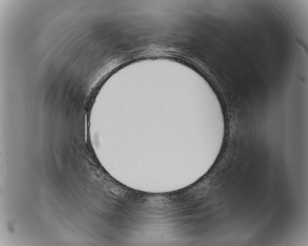 X0000103461219200810240941