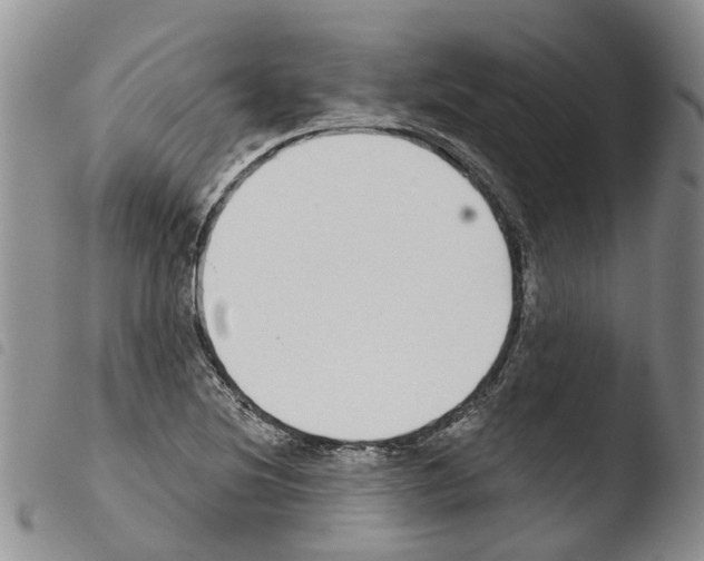 X0000103461220200810240941