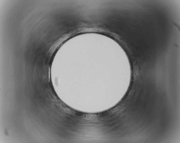 X0000103461221200810240941