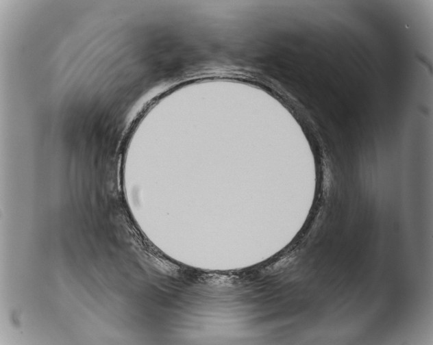 X0000103461222200810240941