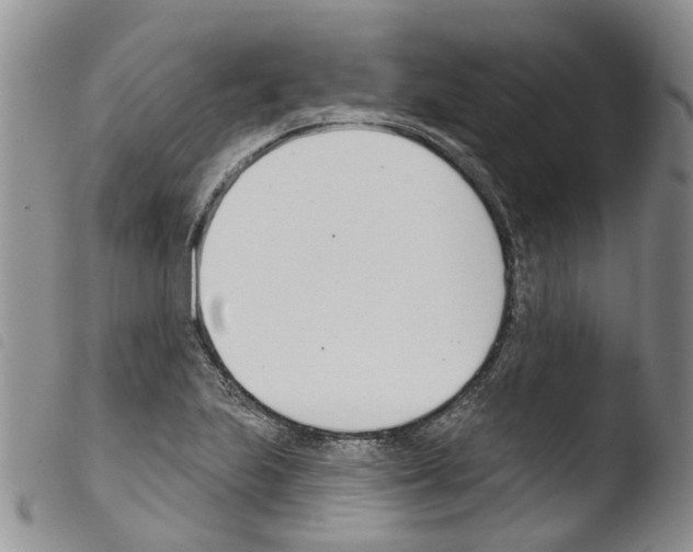 X0000103461223200810240941