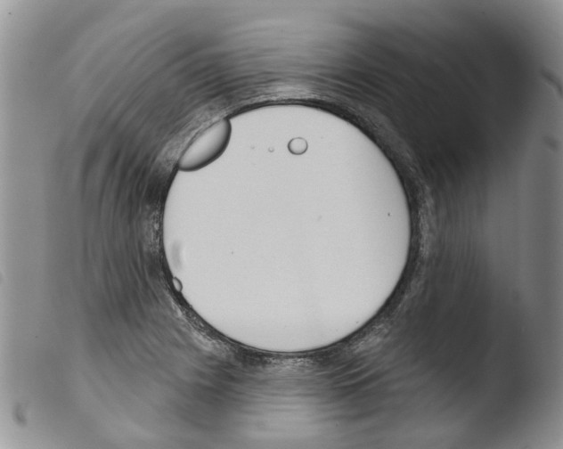 X0000103461225200810240941