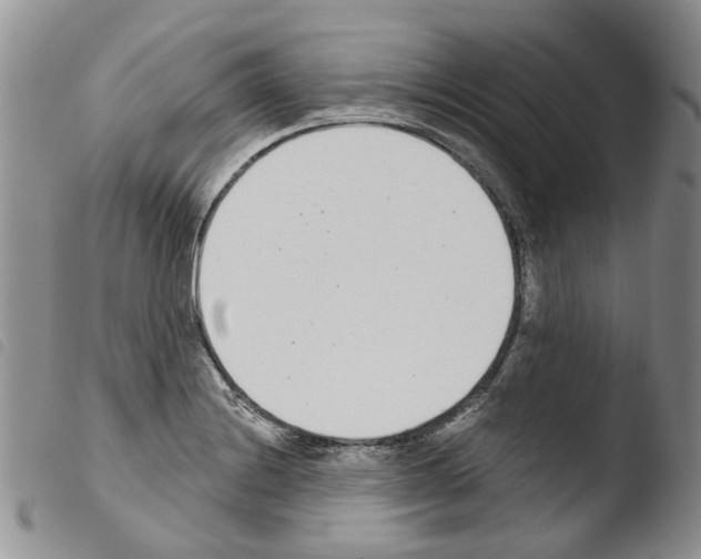 X0000103461228200810240941