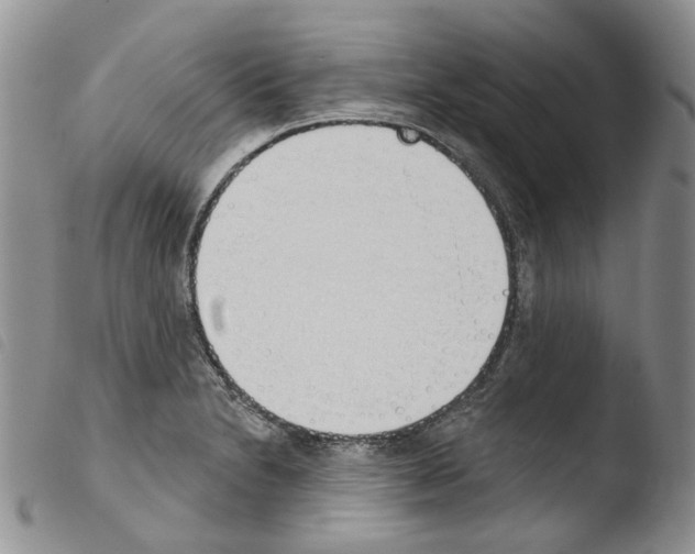 X0000103461230200810240941