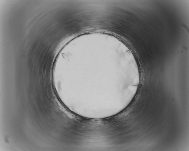 X0000103461231200810240941