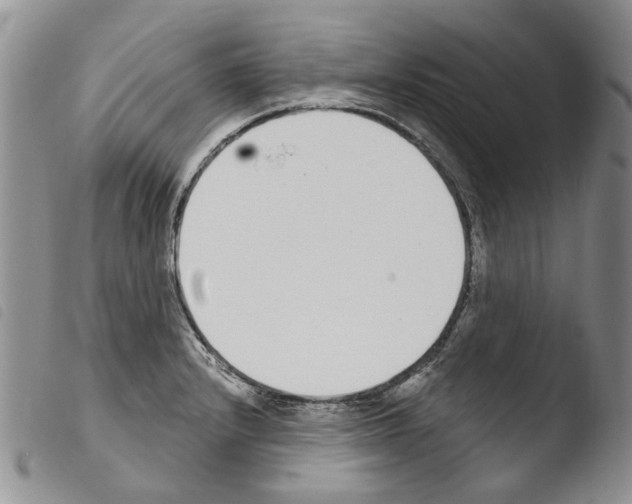X0000103461232200810240941