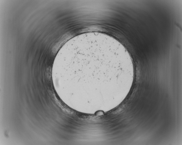 X0000103461233200810240941
