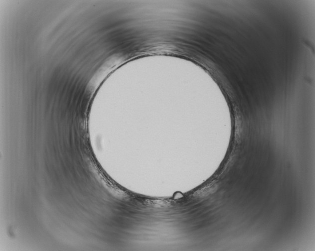 X0000103461234200810240941