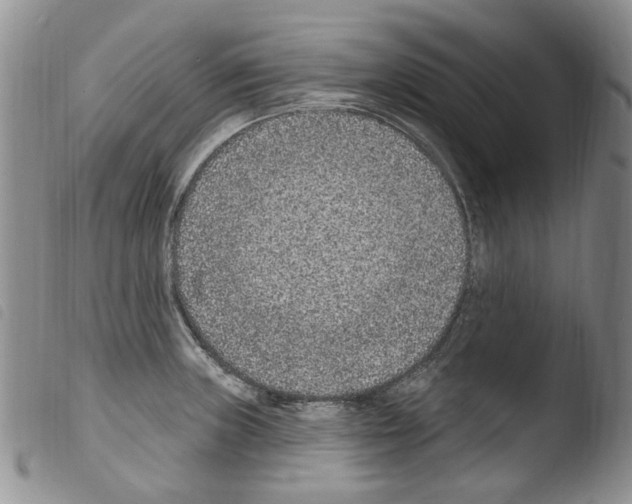 X0000103461235200810240942