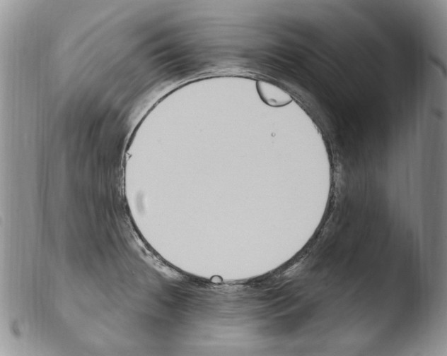 X0000103461236200810240942