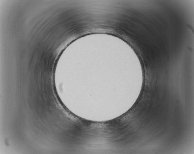 X0000103461237200810240942
