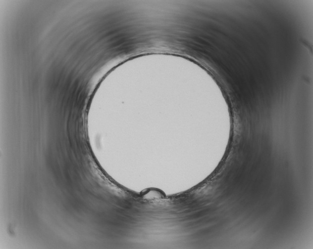X0000103461238200810240942