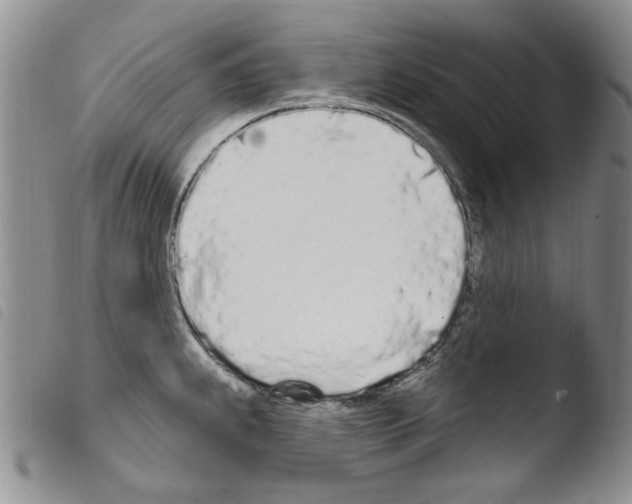 X0000103461239200810240942