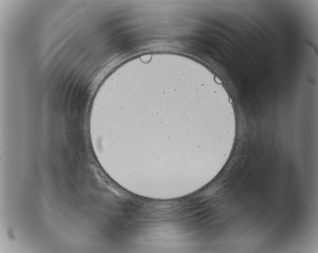 X0000103461240200810240942