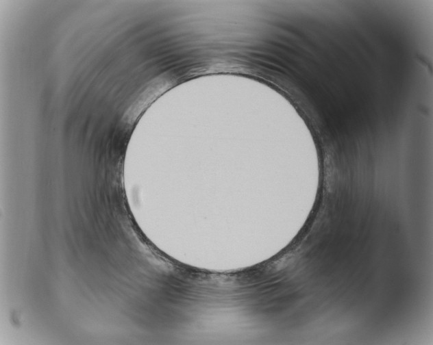 X0000103461241200810240942