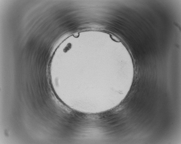 X0000103461243200810240942