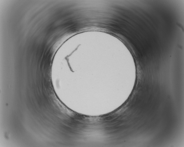 X0000103461244200810240942