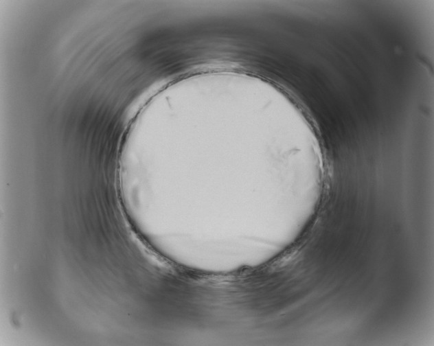 X0000103461245200810240942