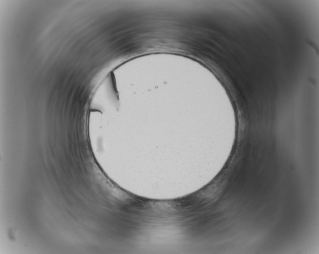 X0000103461246200810240942