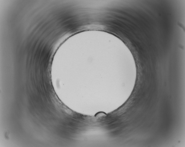 X0000103461248200810240942