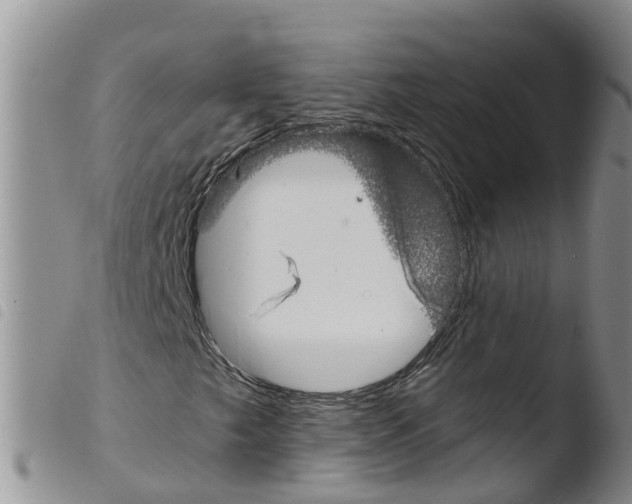 X0000103461249200810240941