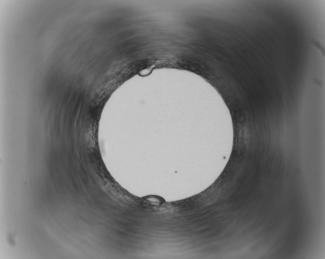 X0000103461250200810240941