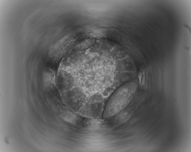 X0000103461251200810240941