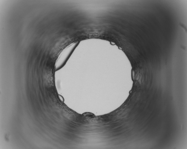 X0000103461252200810240941