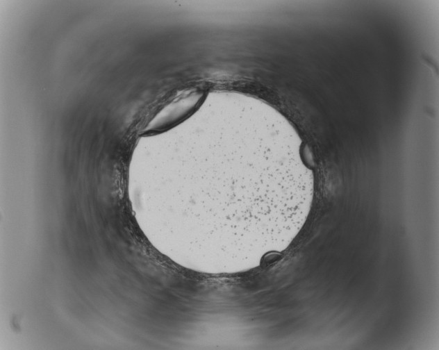 X0000103461253200810240941