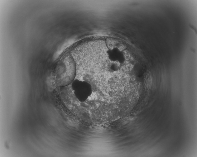 X0000103461255200810240941