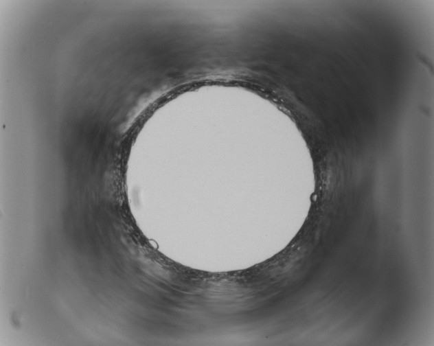X0000103461256200810240941