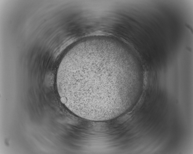 X0000103461258200810240941