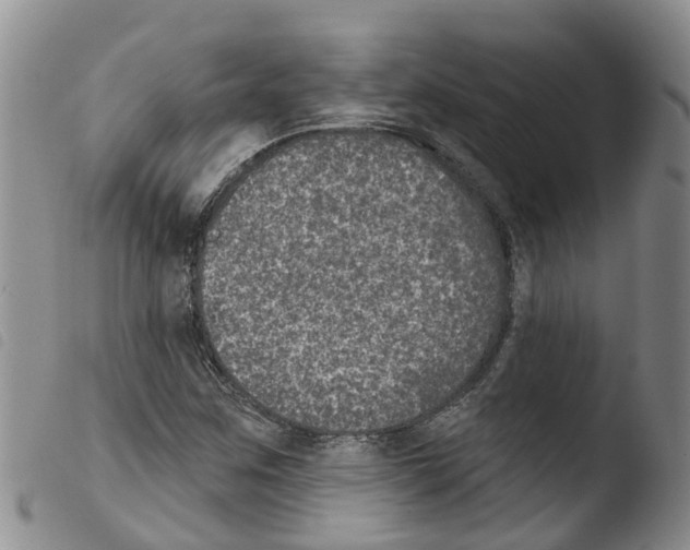 X0000103461259200810240941